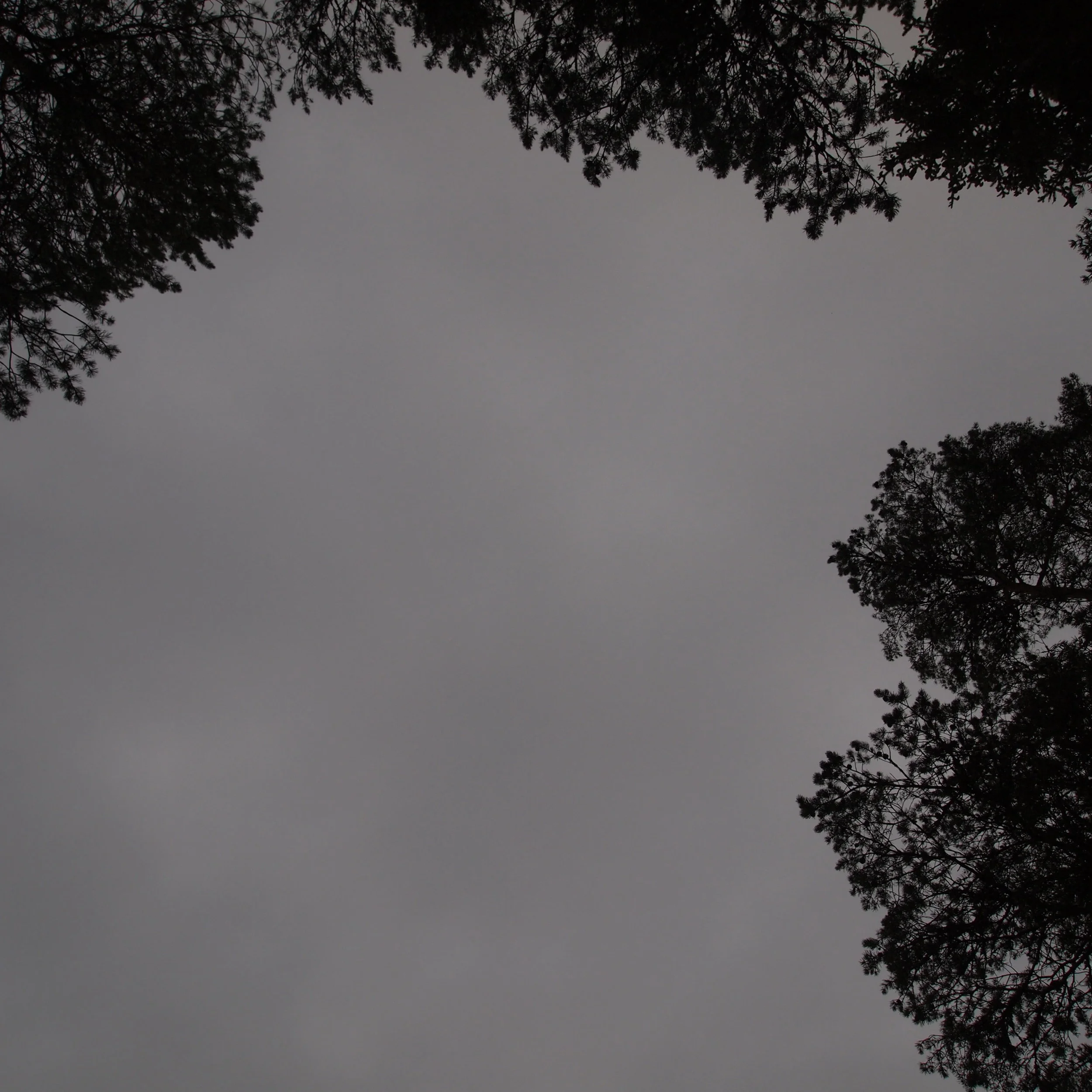 En täysin tiedä mitä tein viime kesänä