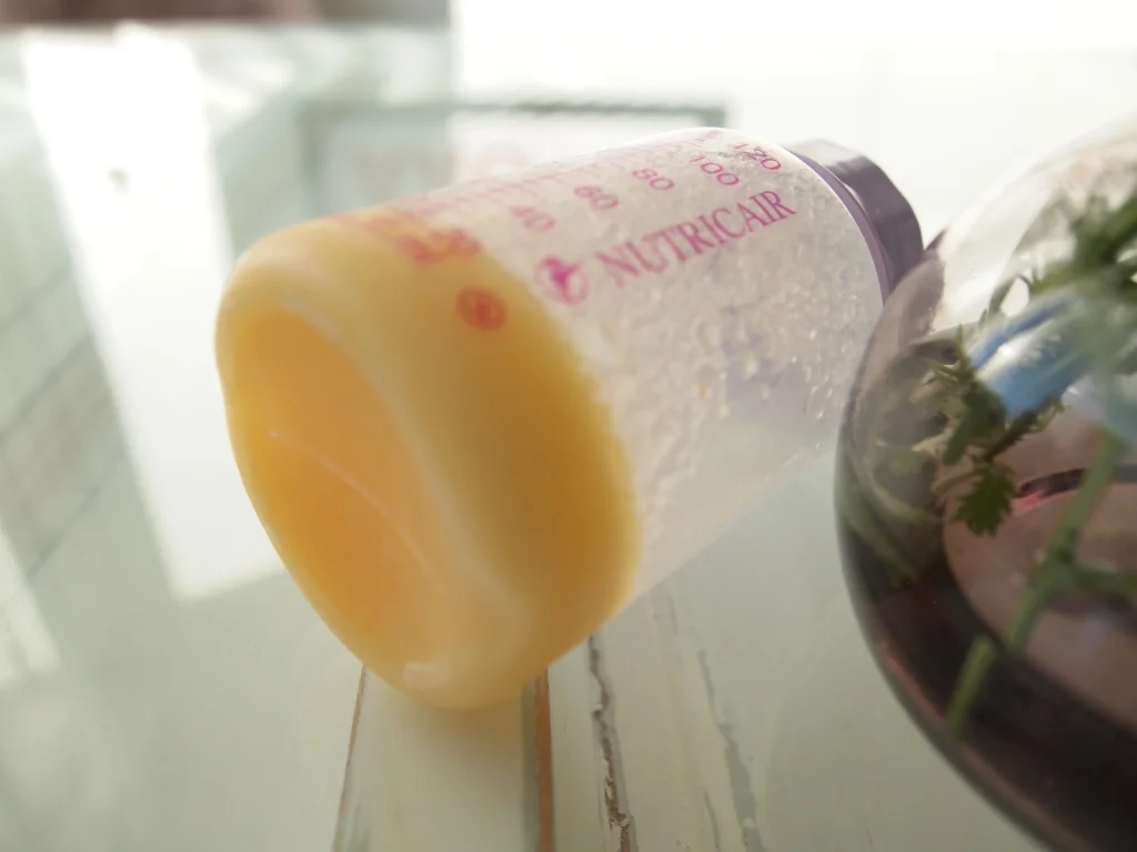 thumb_P1010799_1024.jpg