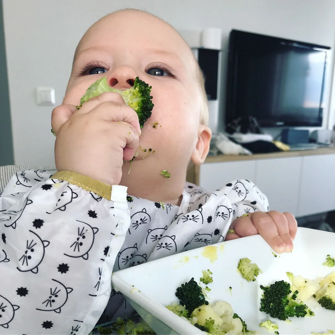 Simppelissä usein kysyttyä: Kun ruoka lentää