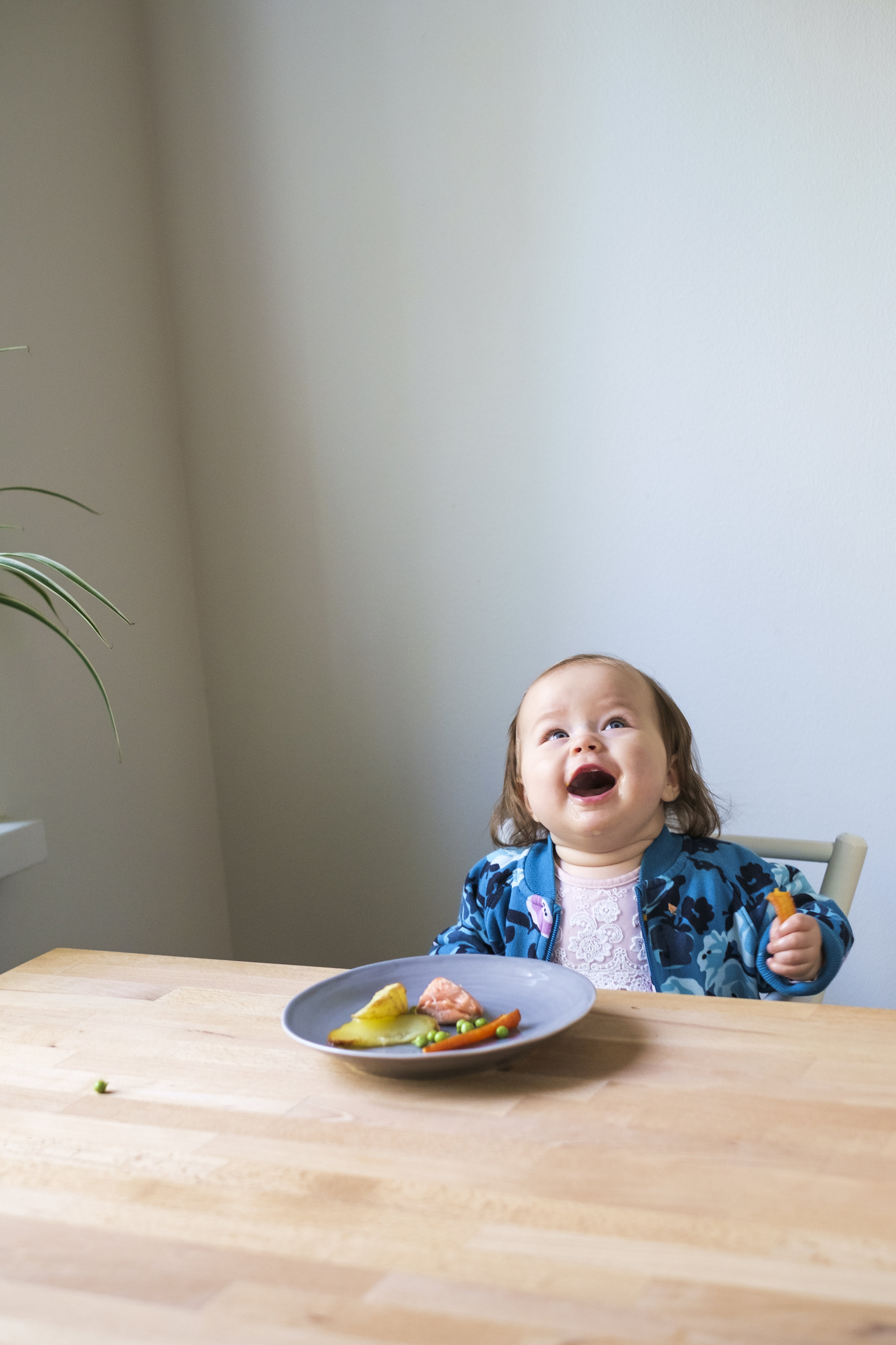 Vuoden 2018 kymmenen kokatuinta sormiruokaa! 