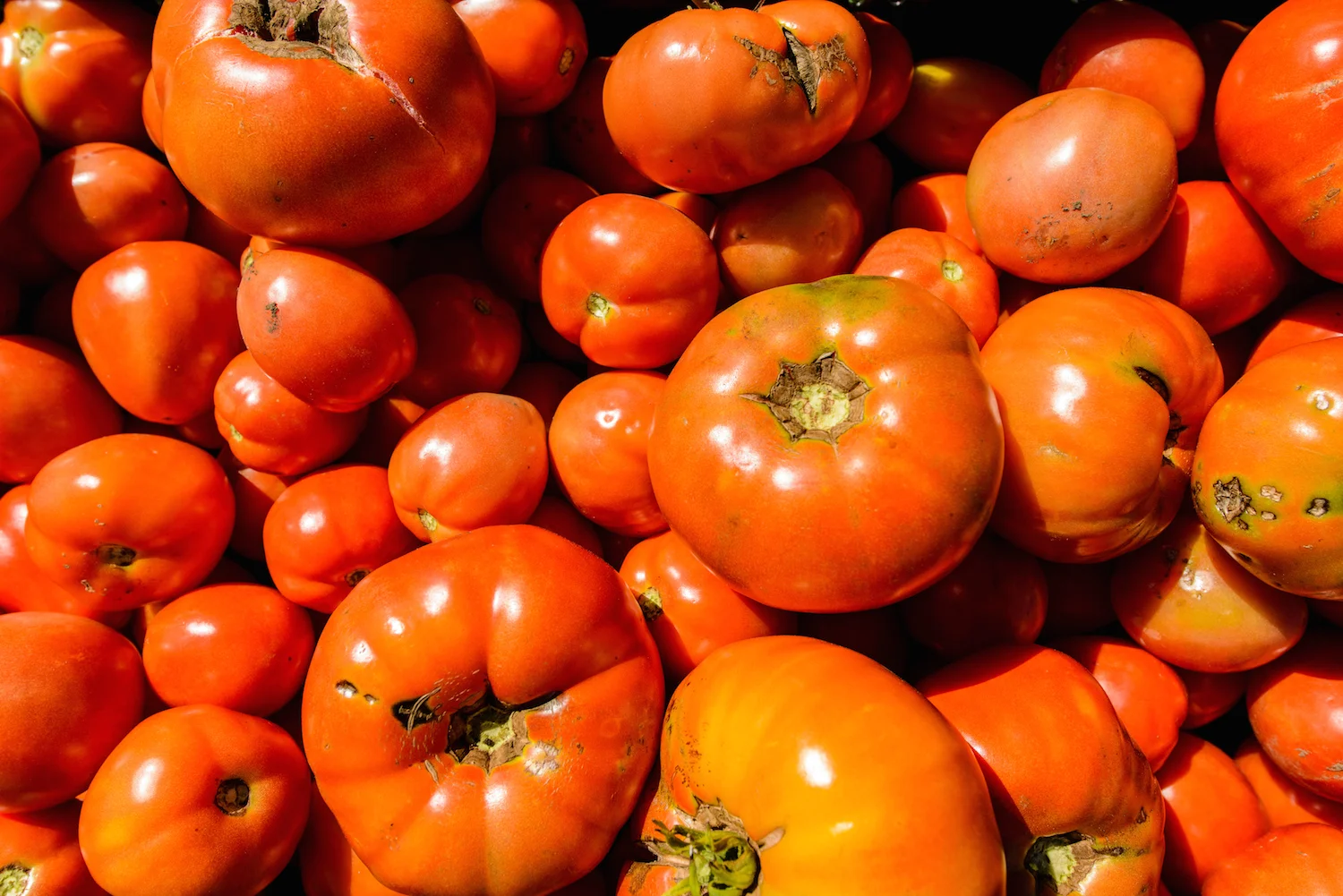 Vegetables