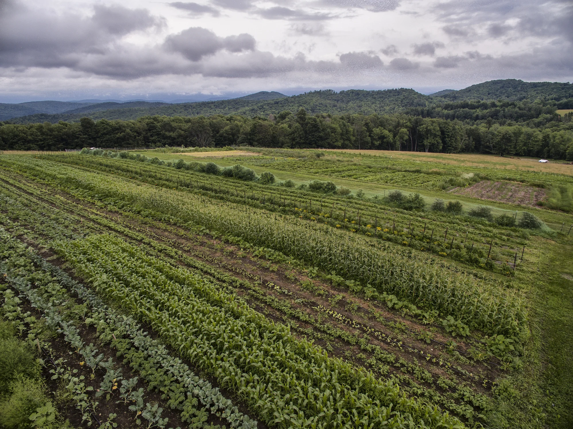drone july 2017-8.jpg