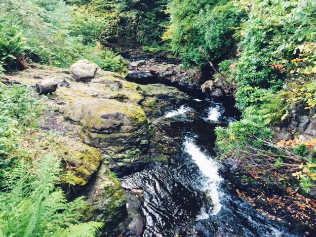 Northern Ireland-0019.jpg
