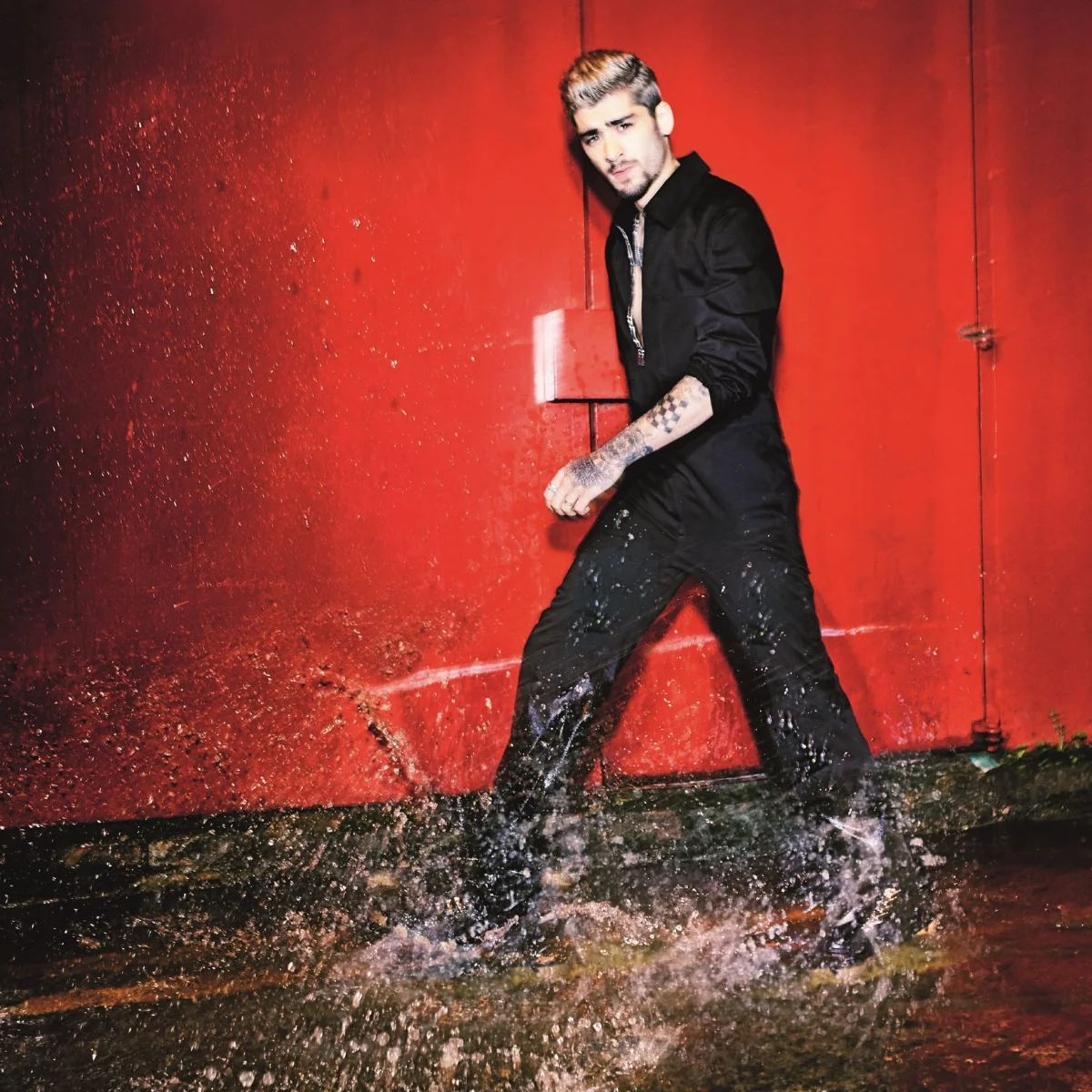 ZAYN MALIK