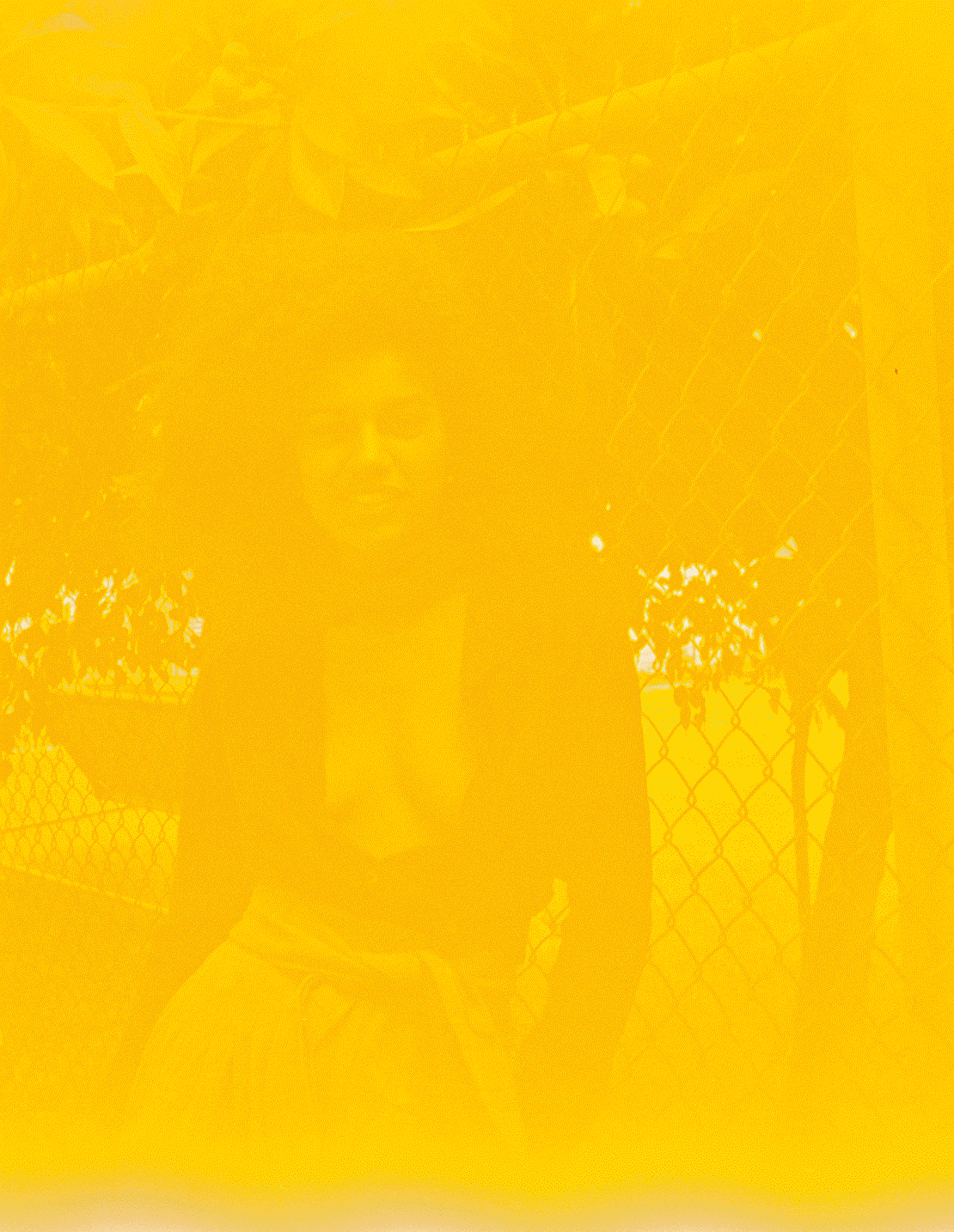 GIF14.gif