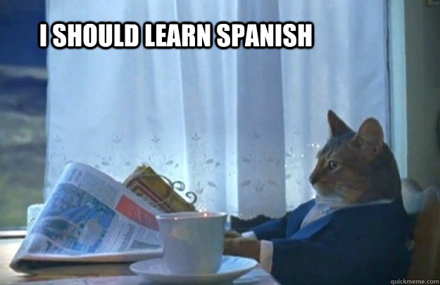 Funny Spanish memes — Spanish Classes London | Spanish Courses London |  Stripey Spanish