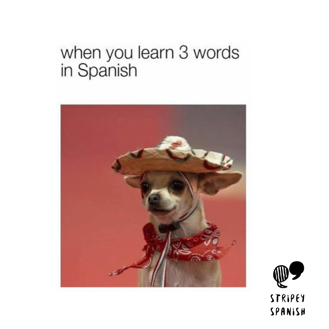 How to learn Spanish using funny memes — Spanish Classes London | Spanish  Courses London | Stripey Spanish