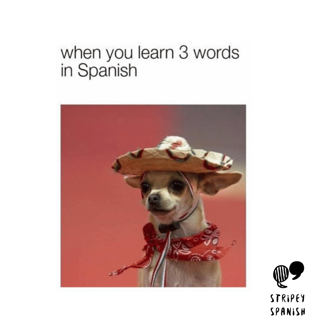 memes in spanish