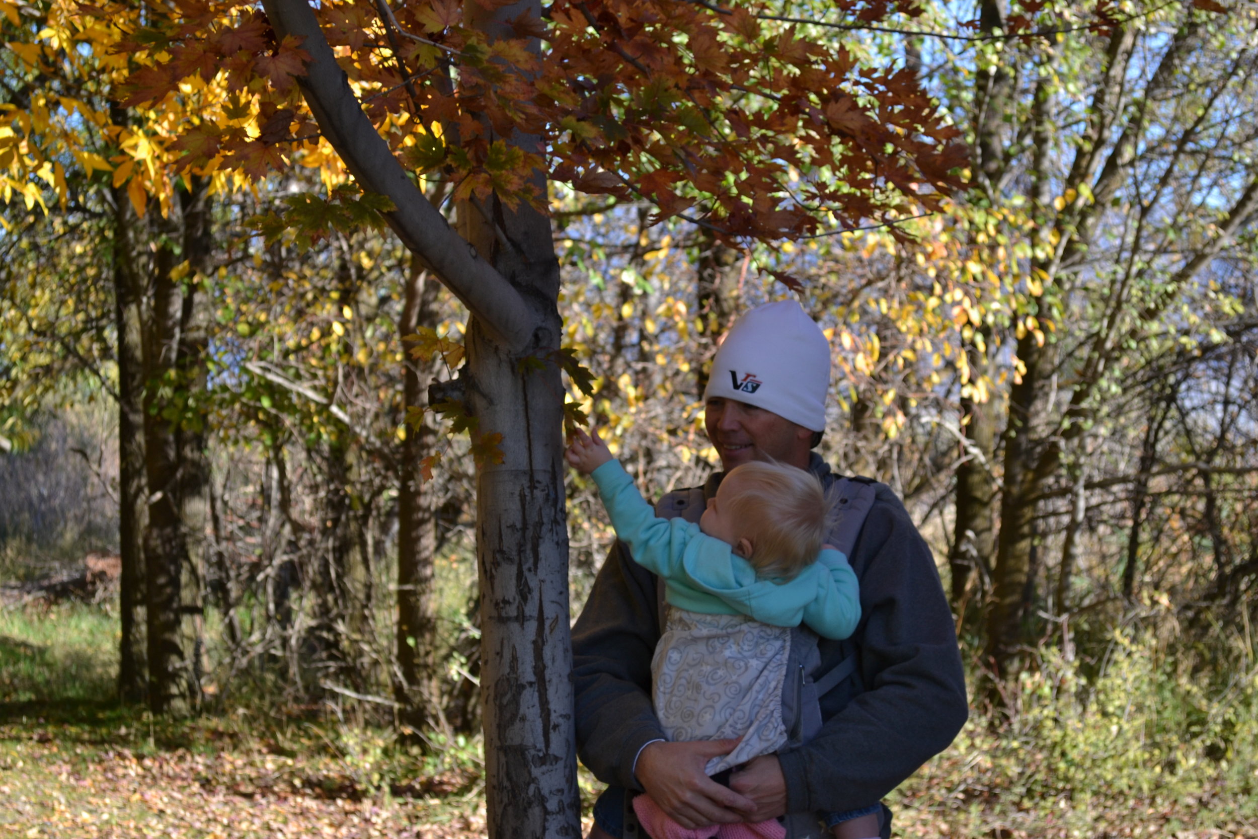 DSC_6642.JPG
