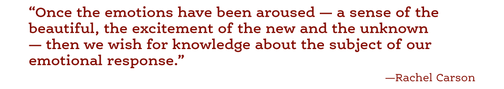 1518721914662.png