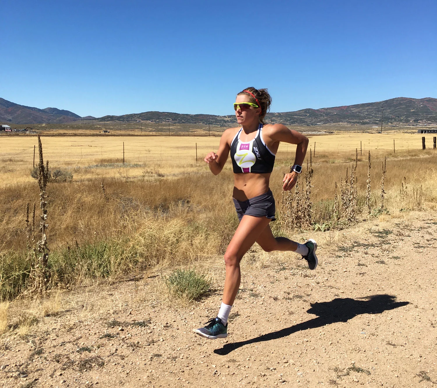 ZR_Triathlon_running.jpg