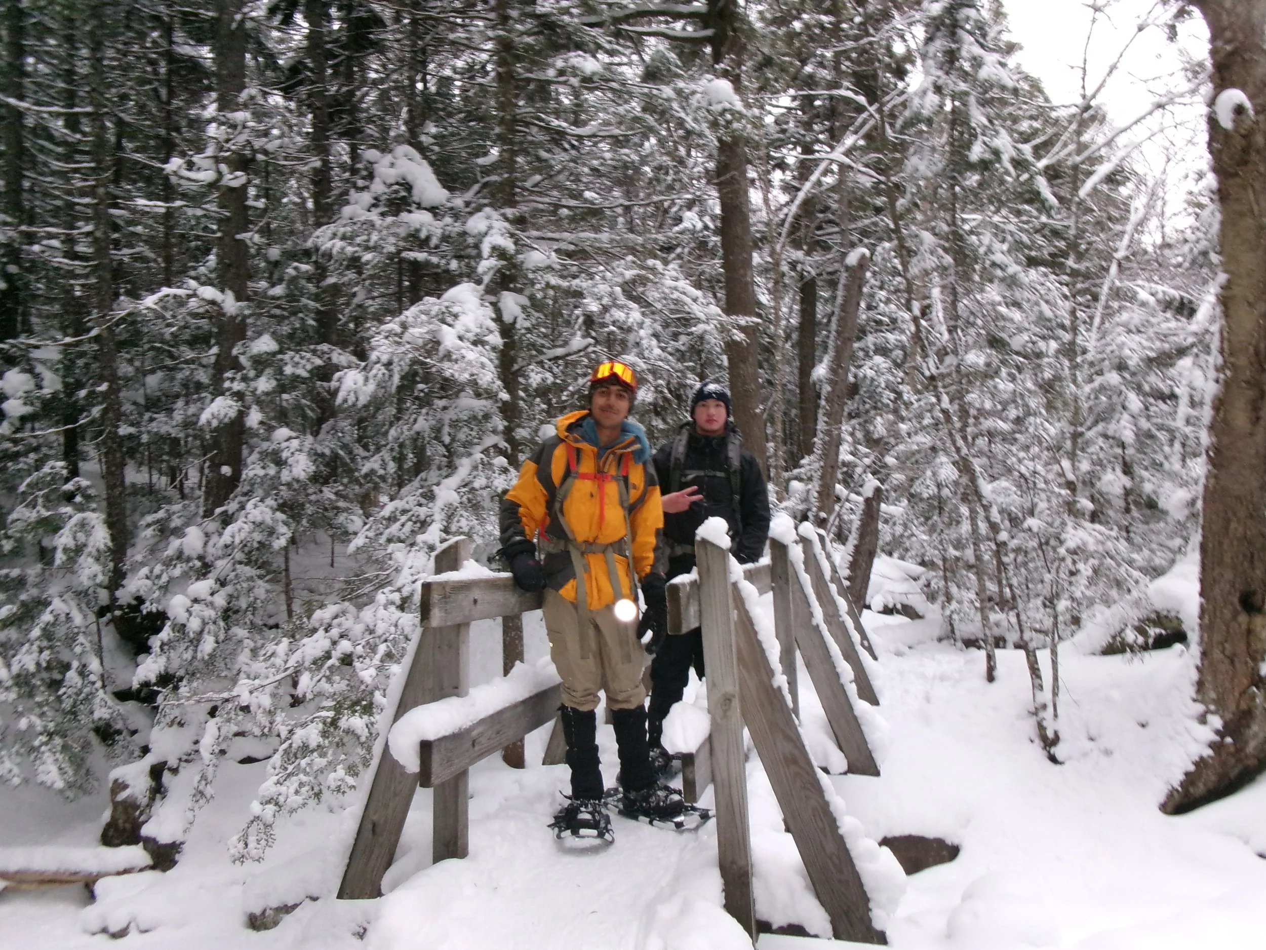 100_0196 - Surya Patel.jpeg