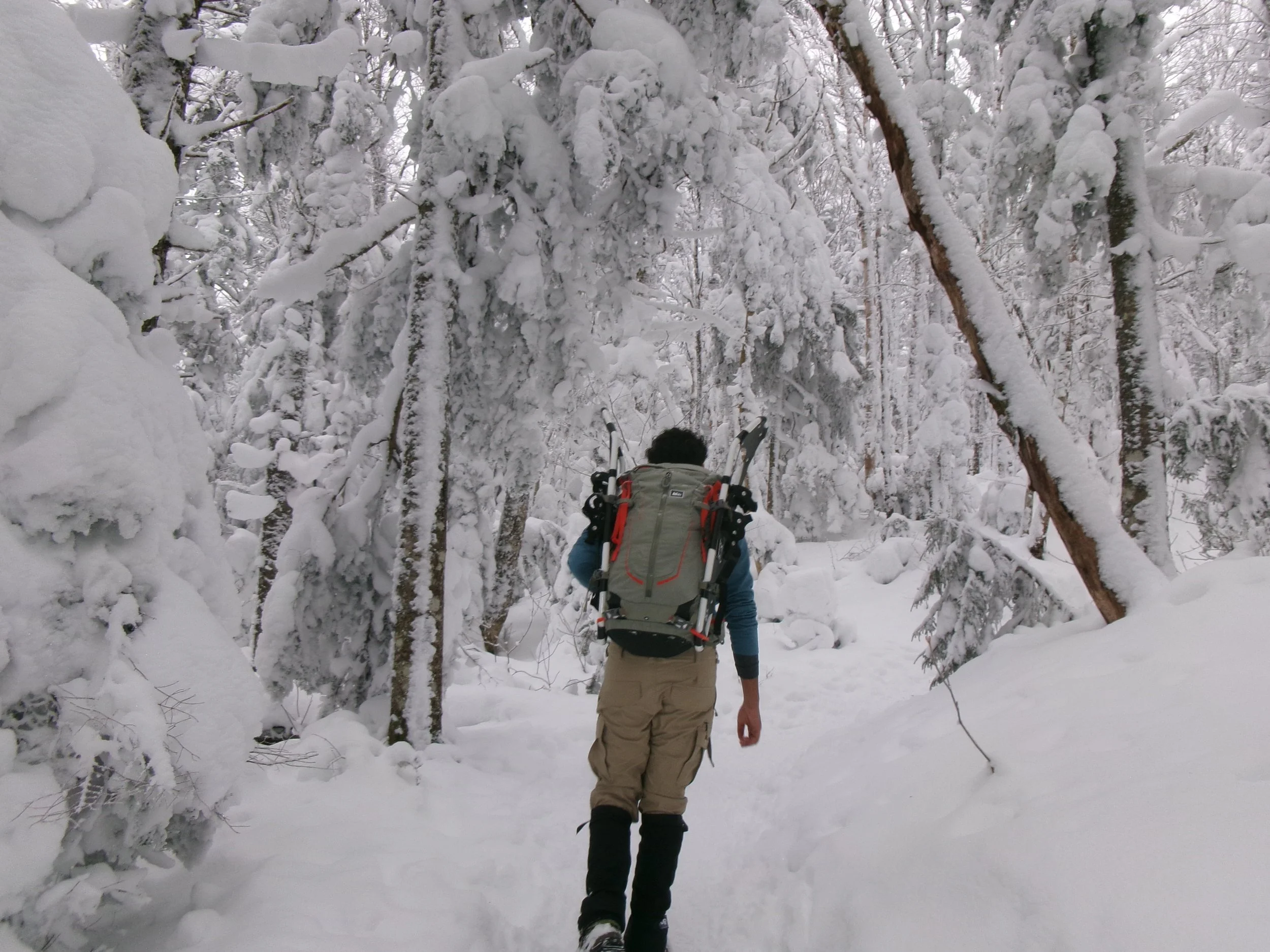 100_0161 - Surya Patel.jpeg