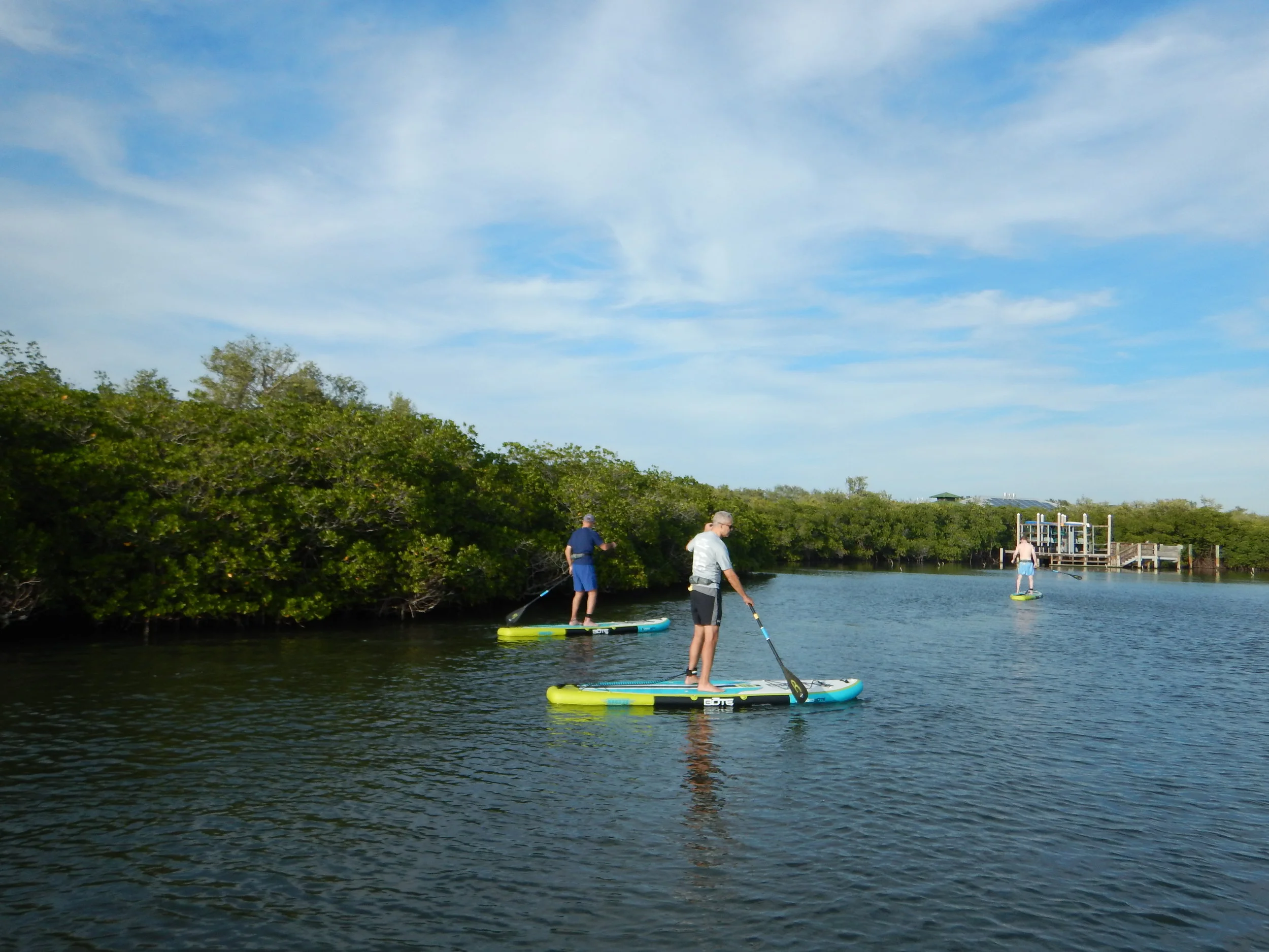 paddleboard, sea sup go, paddle vero, vero beach, paddle board tour, paddle board vero, paddleboard vero, paddleboard, paddleboarding, kayak, kayak tour, kayak vero, mangrove tour, vero tour, 