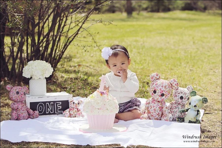 Cake Smash Photography Calgary0032.jpg