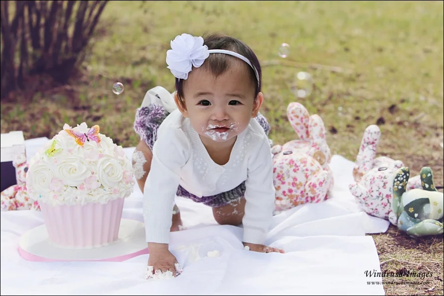 Cake Smash Photography Calgary0033.jpg