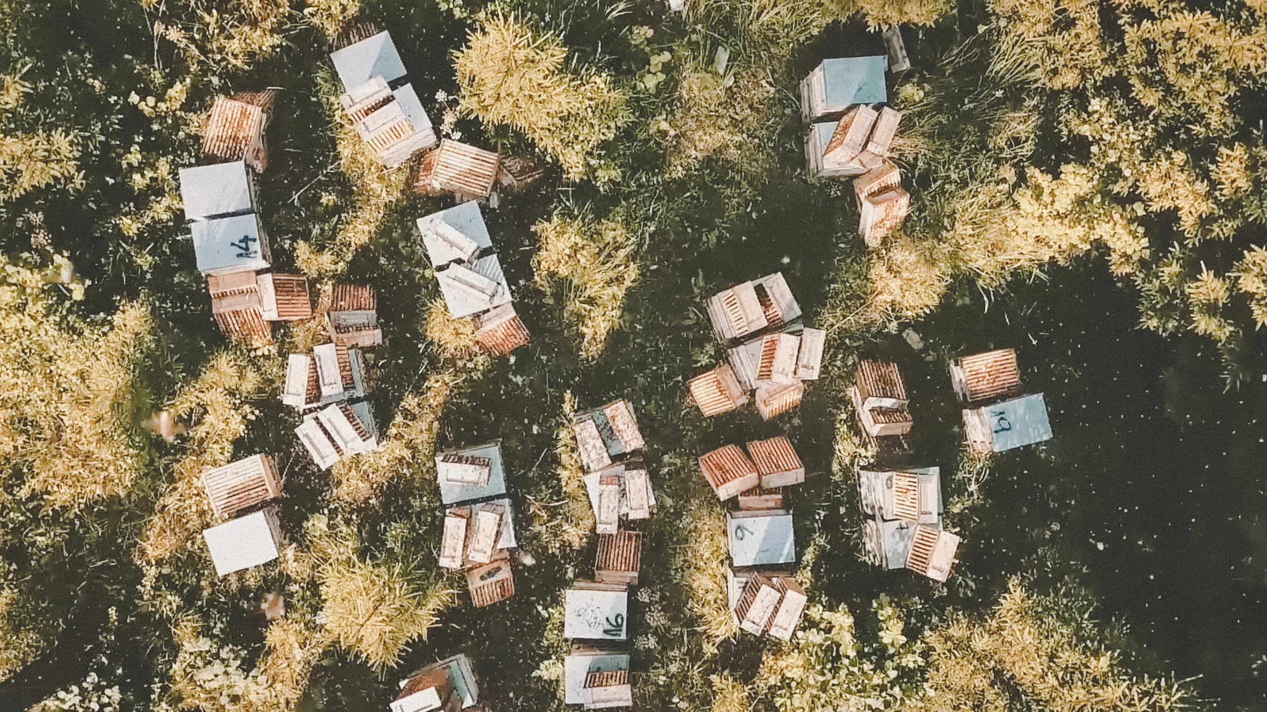 honey harvesting video / branding ad