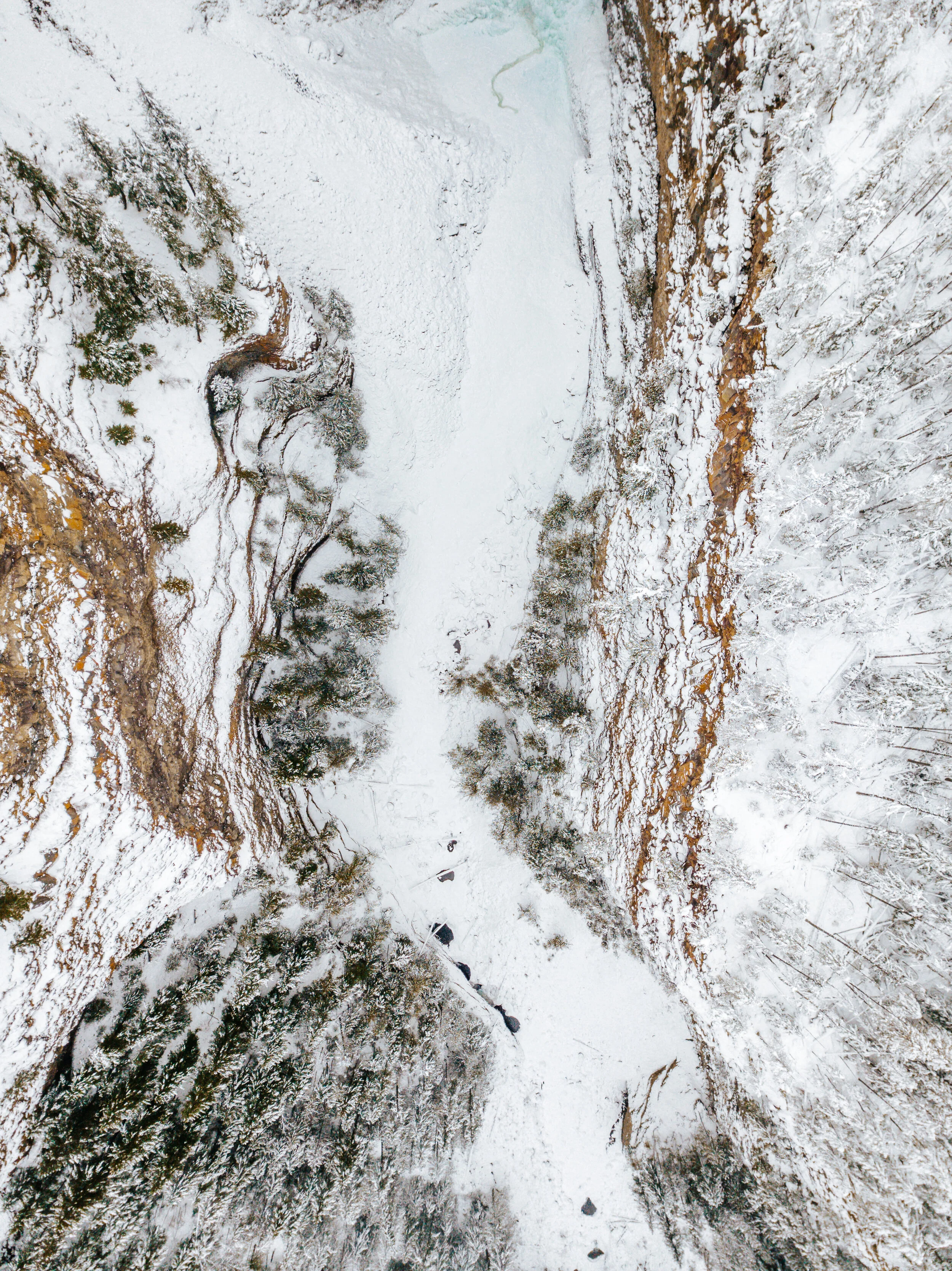 bird's-eye-view nature series