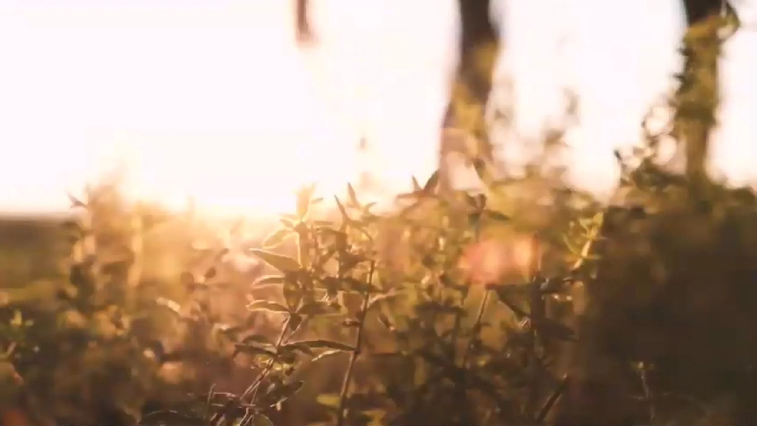 event summation video @ summer retreat