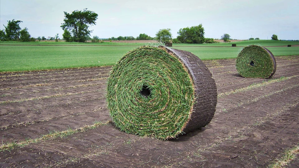 sod farms.jpg