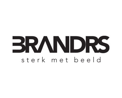 BRANDRS-logo-goudschrijver.jpg