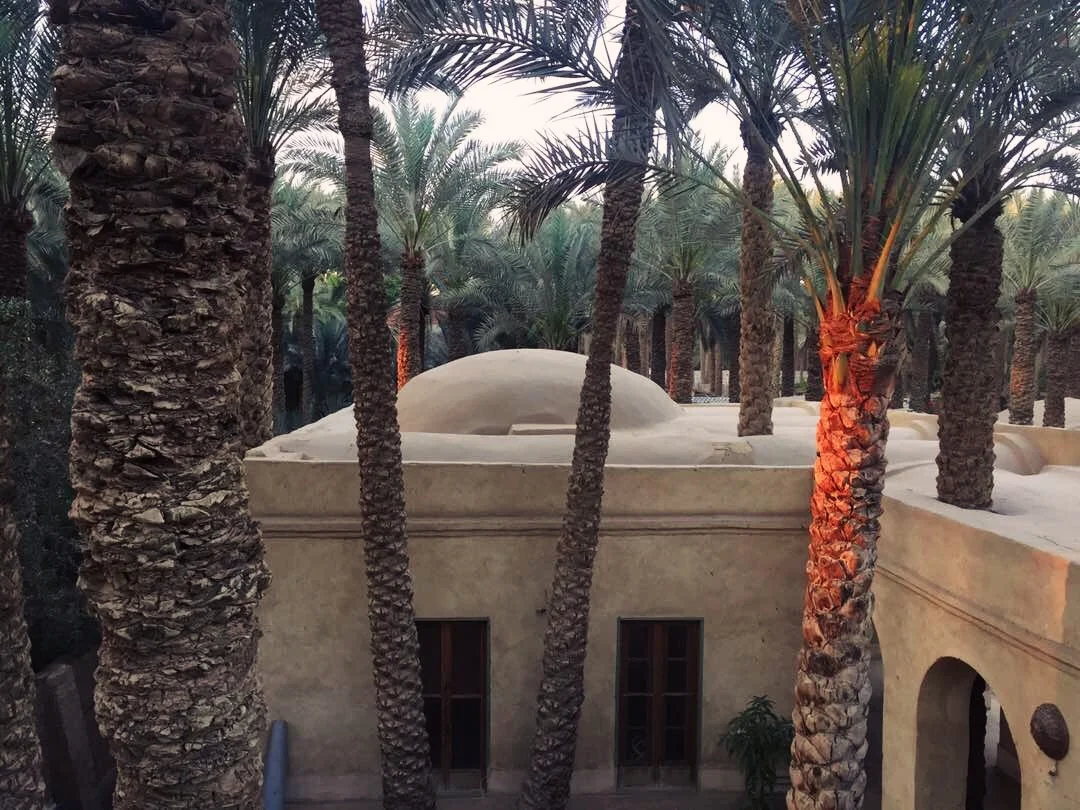 Birds eye view. Photo by Shaden Tarek