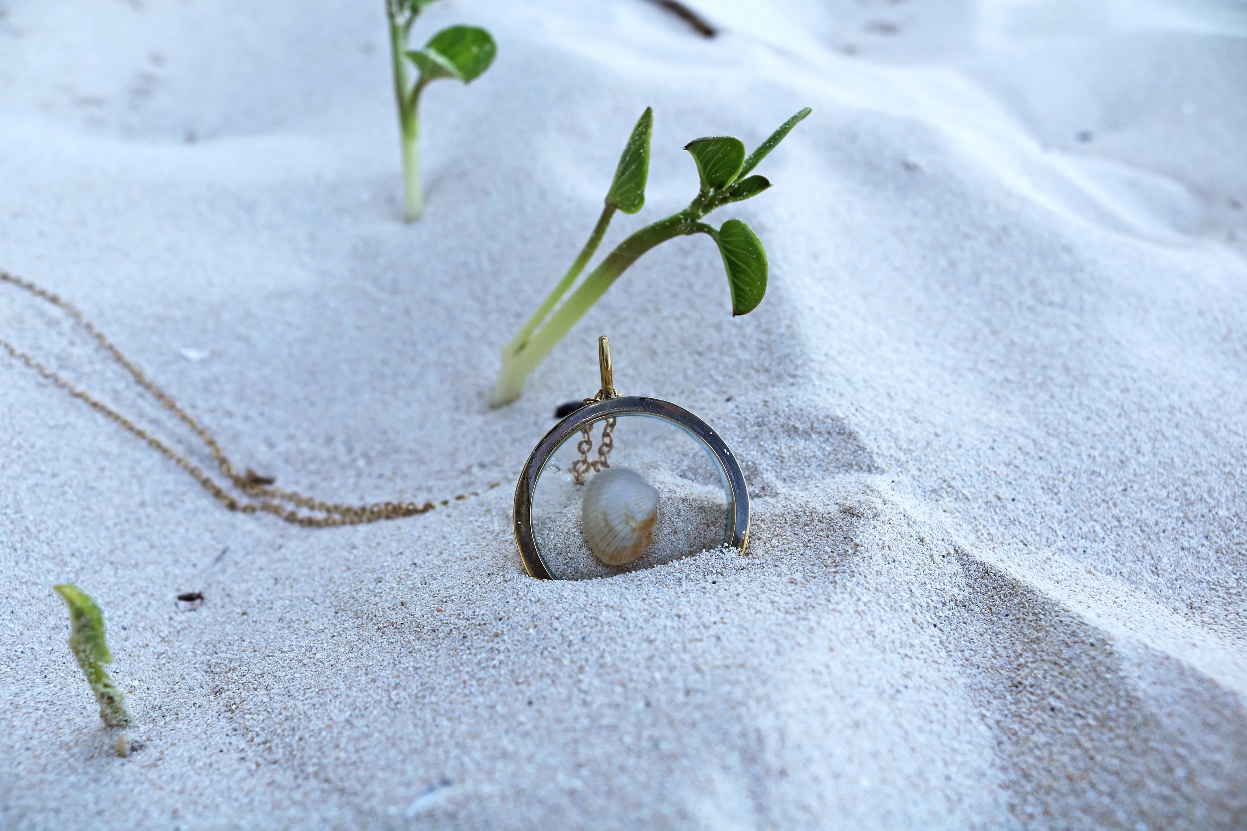 ZM Collections: Create Your Link To the World