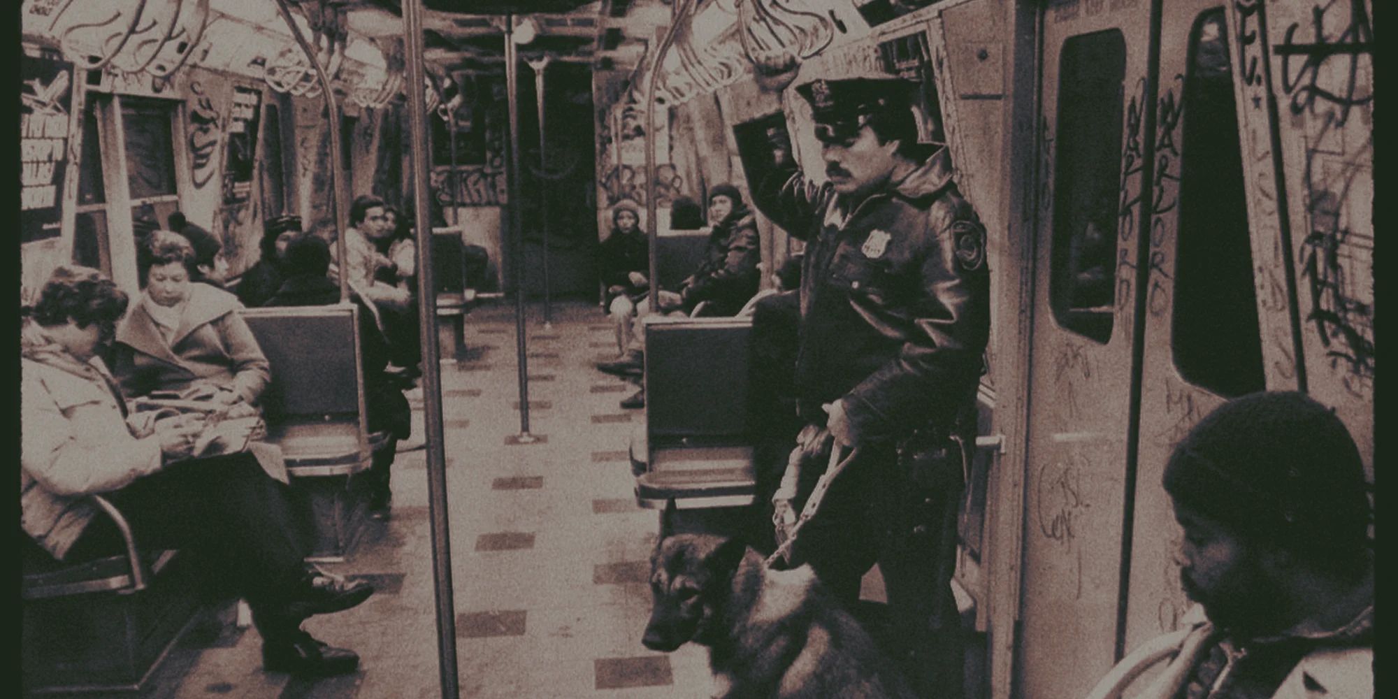n02.jpg