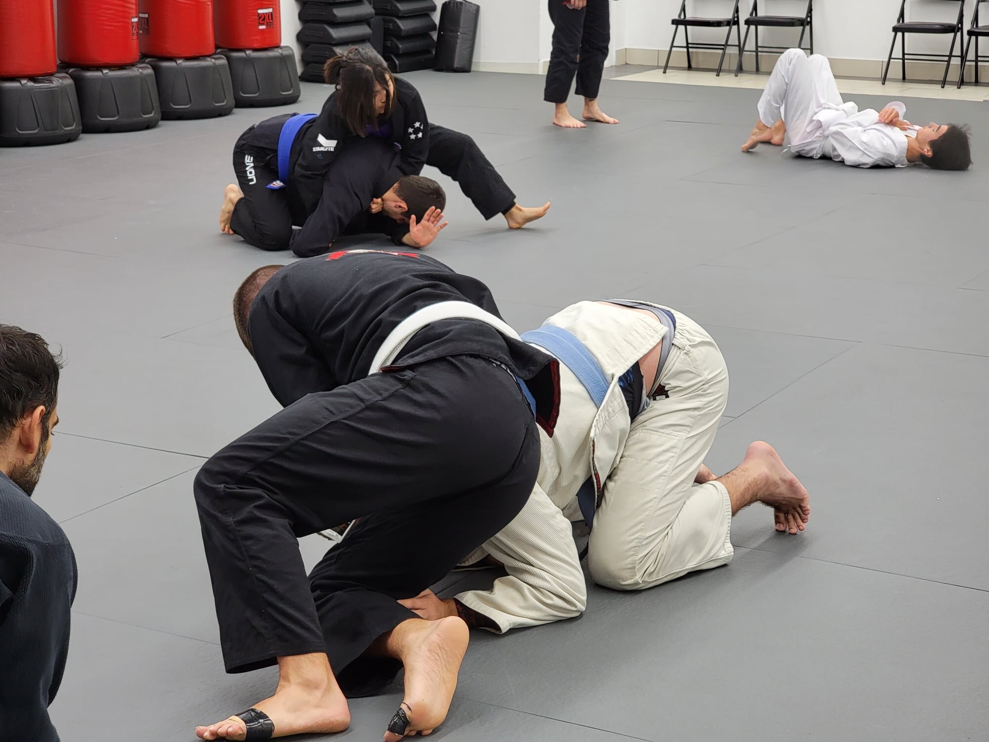 bjj ues 6.jpg