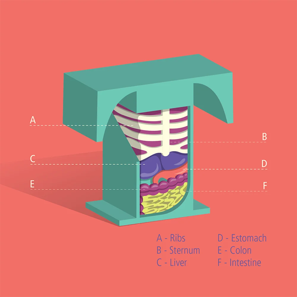 GuthmannM_dailies_4.jpg