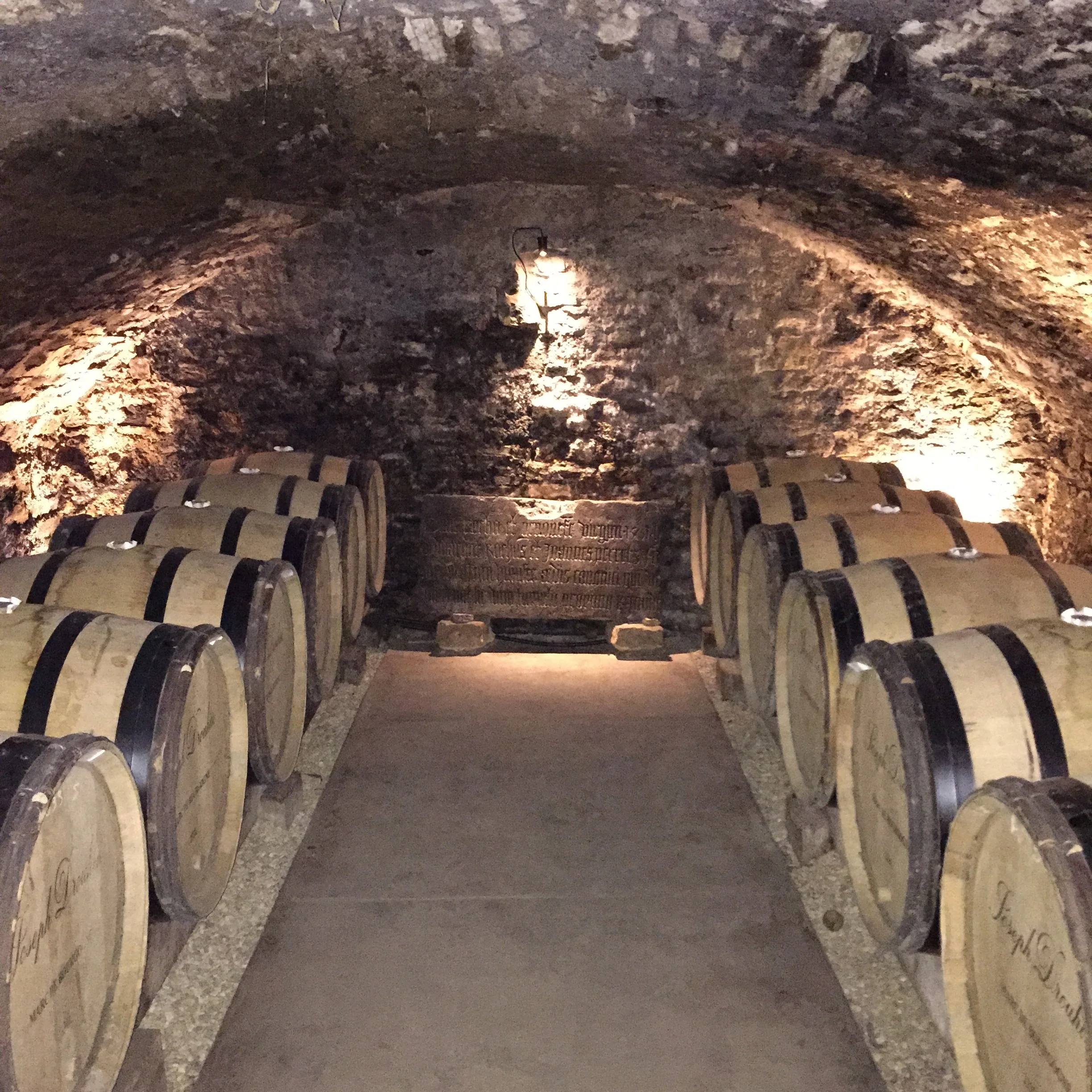 The Saint Vincent Wine Festival Comes to Westminster!