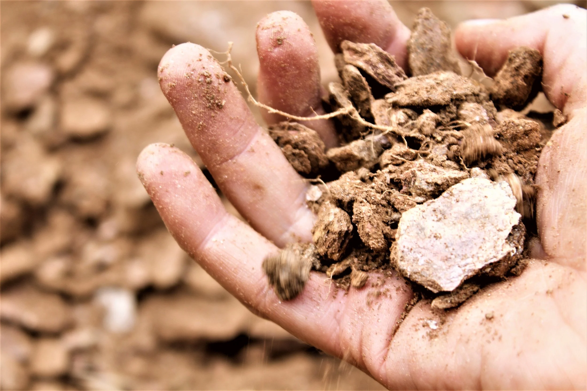 Examining soil at the future home of Burnt Hill Vineyards