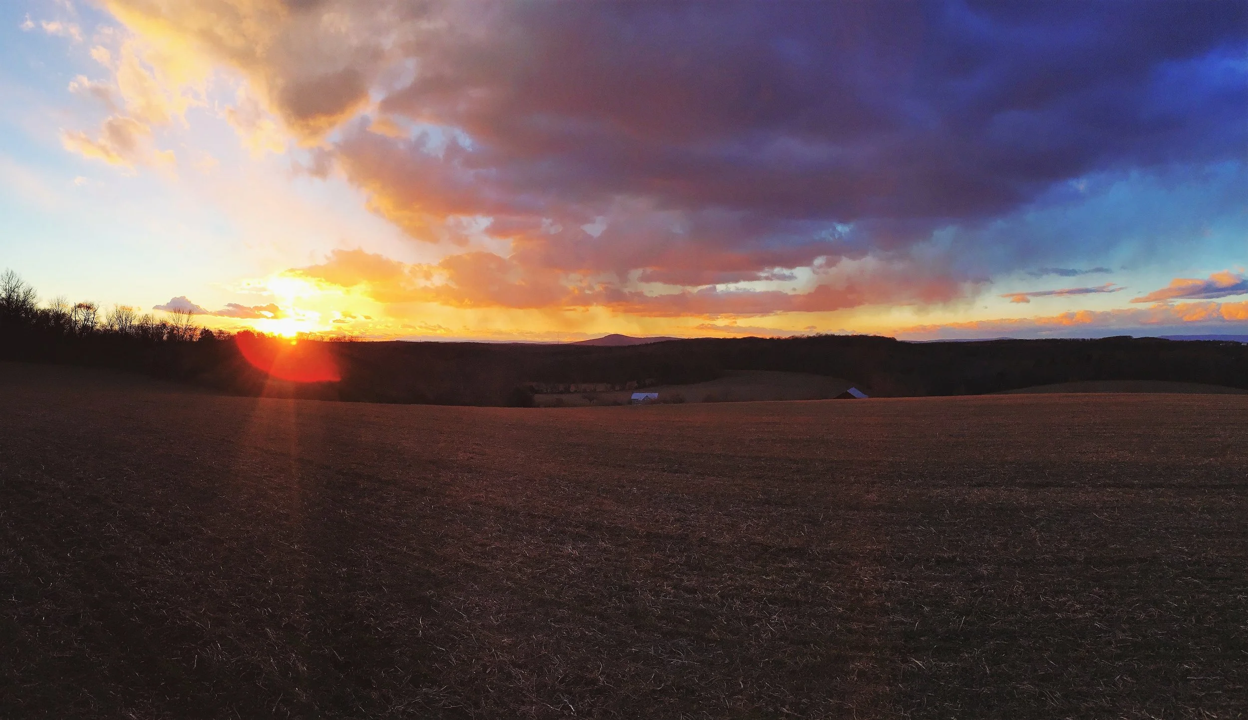 The Burnt Hill Project: Redefining Iconic American Wine