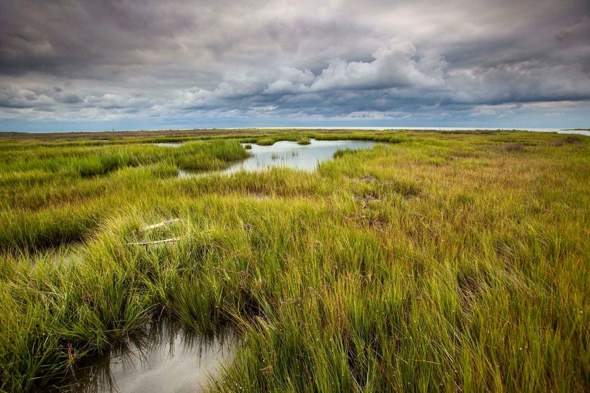 Maryland Wine, Maryland Pride