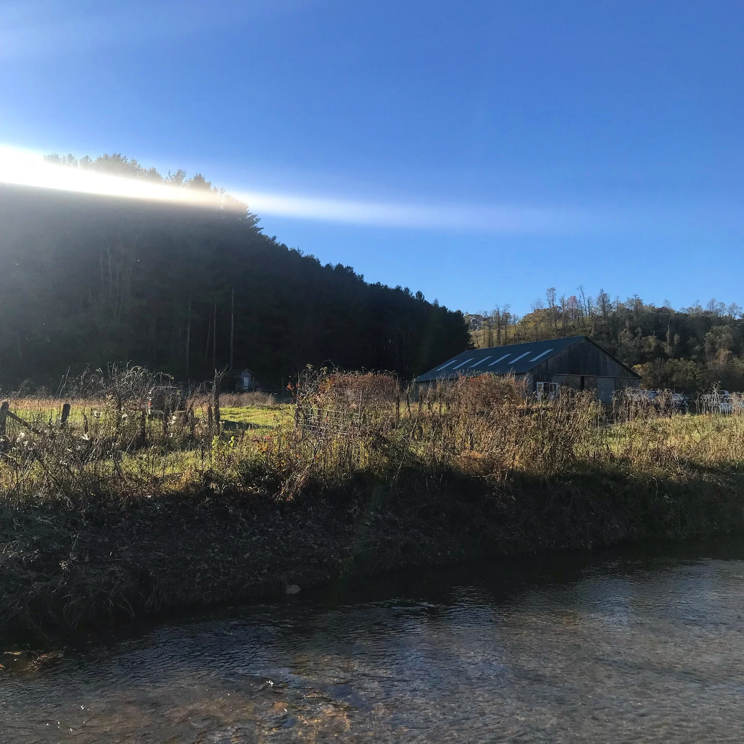 Fostering a Relationship With the Land