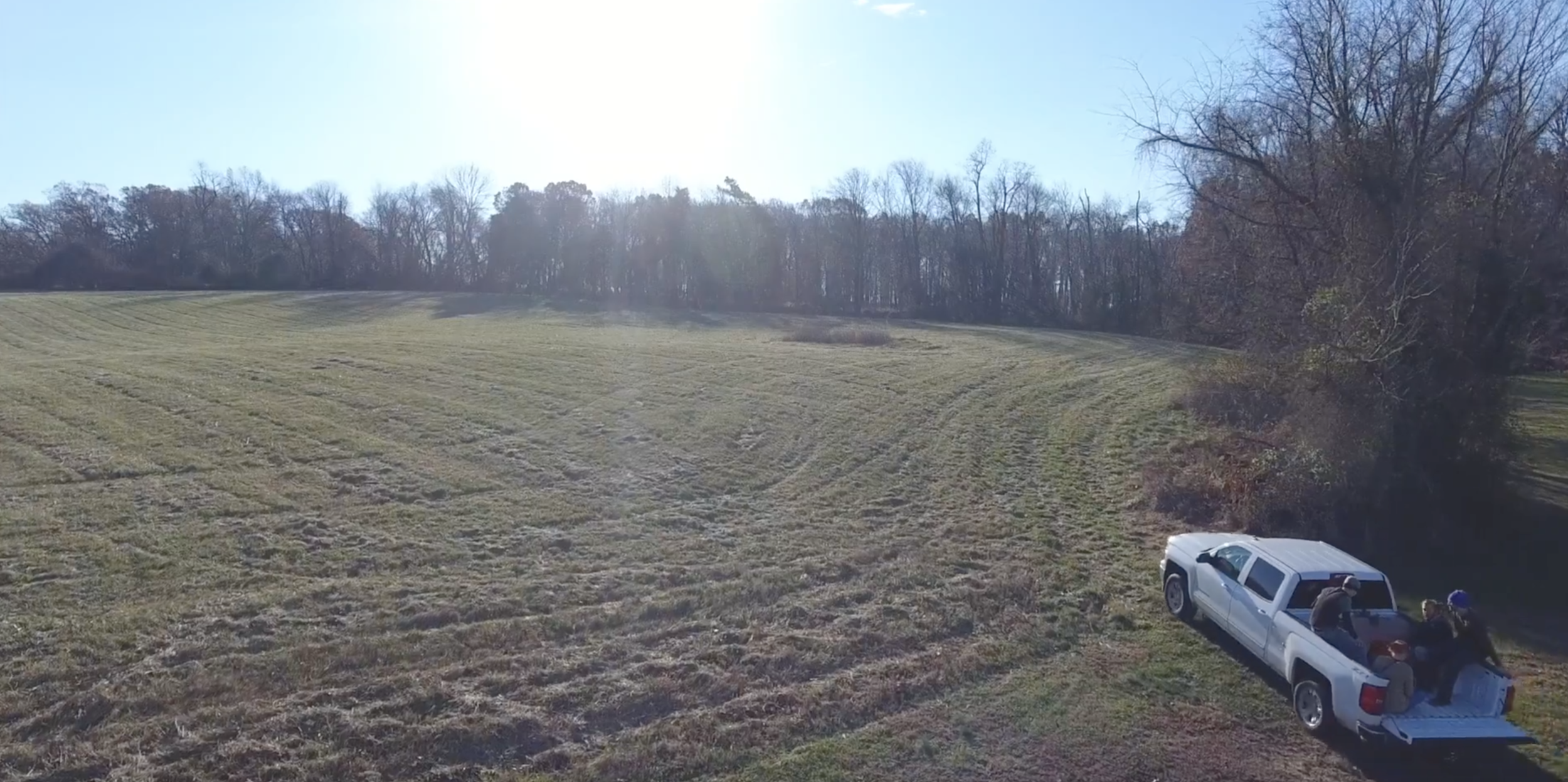 The Future of Burnt Hill Vineyard