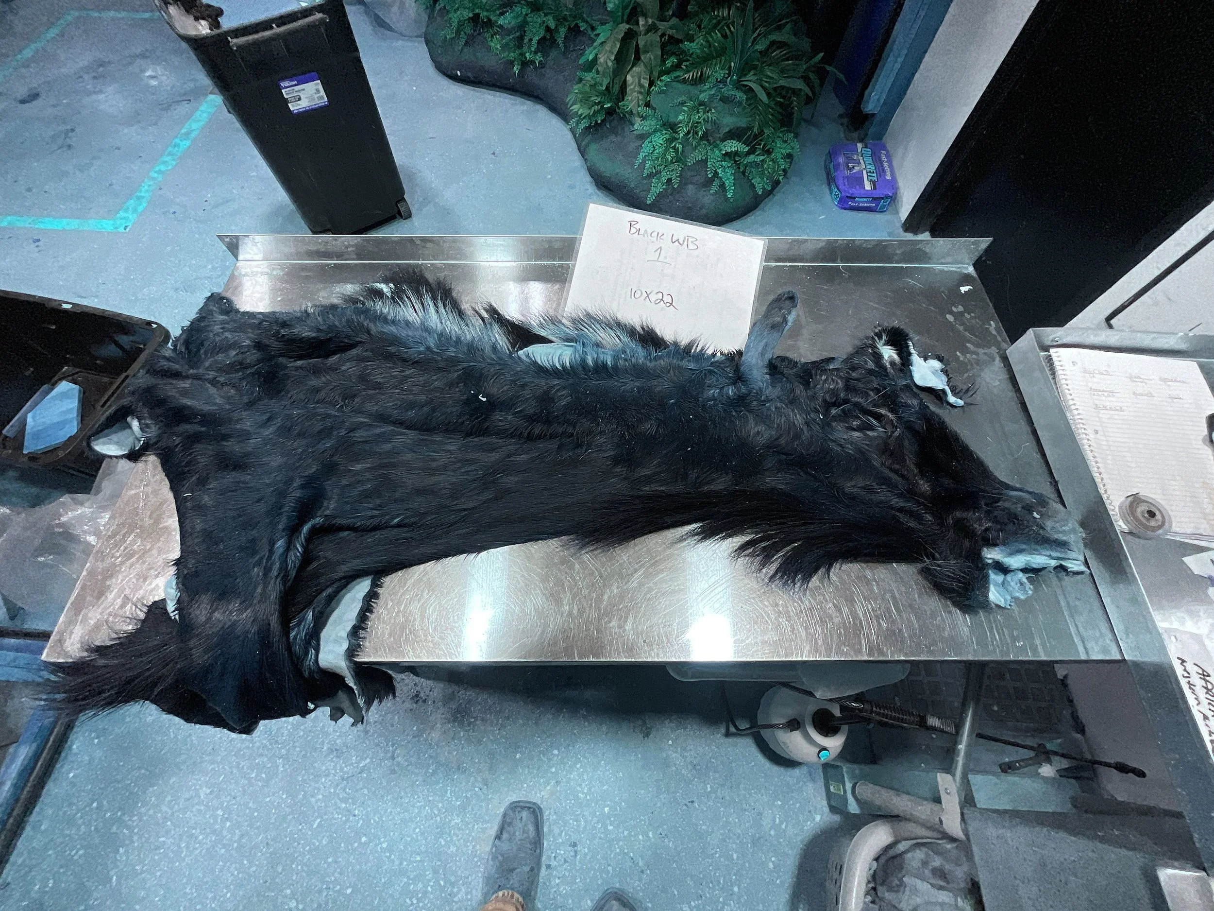 Blk WB1.jpg