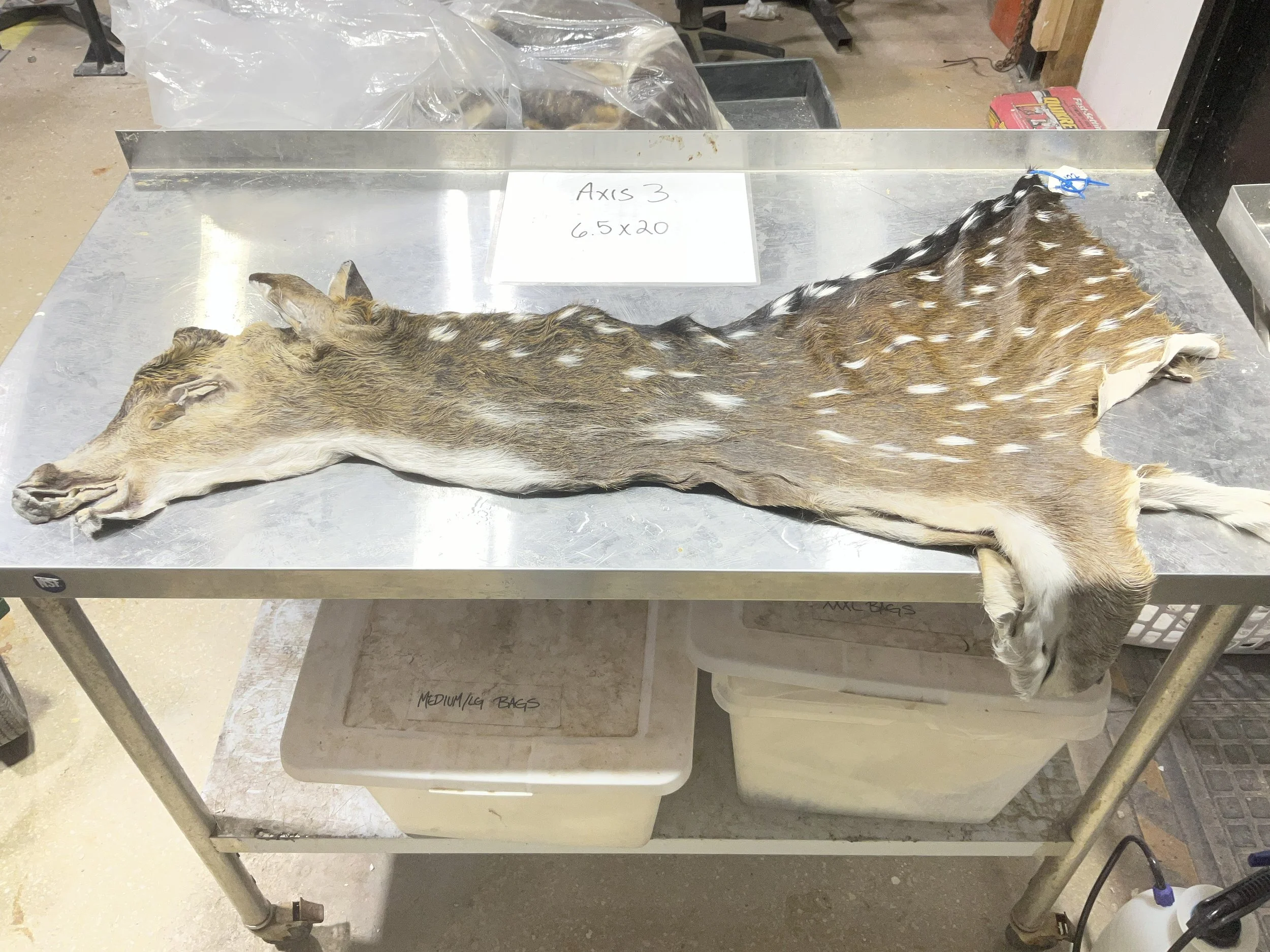 Axis3.jpg