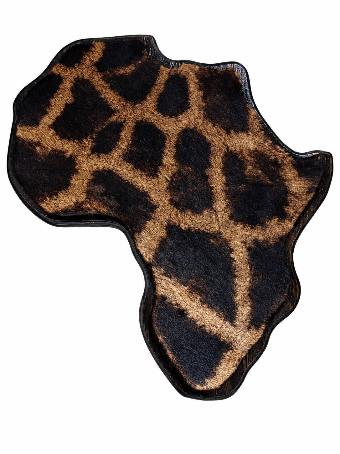 230 Giraffe Frame Art.png