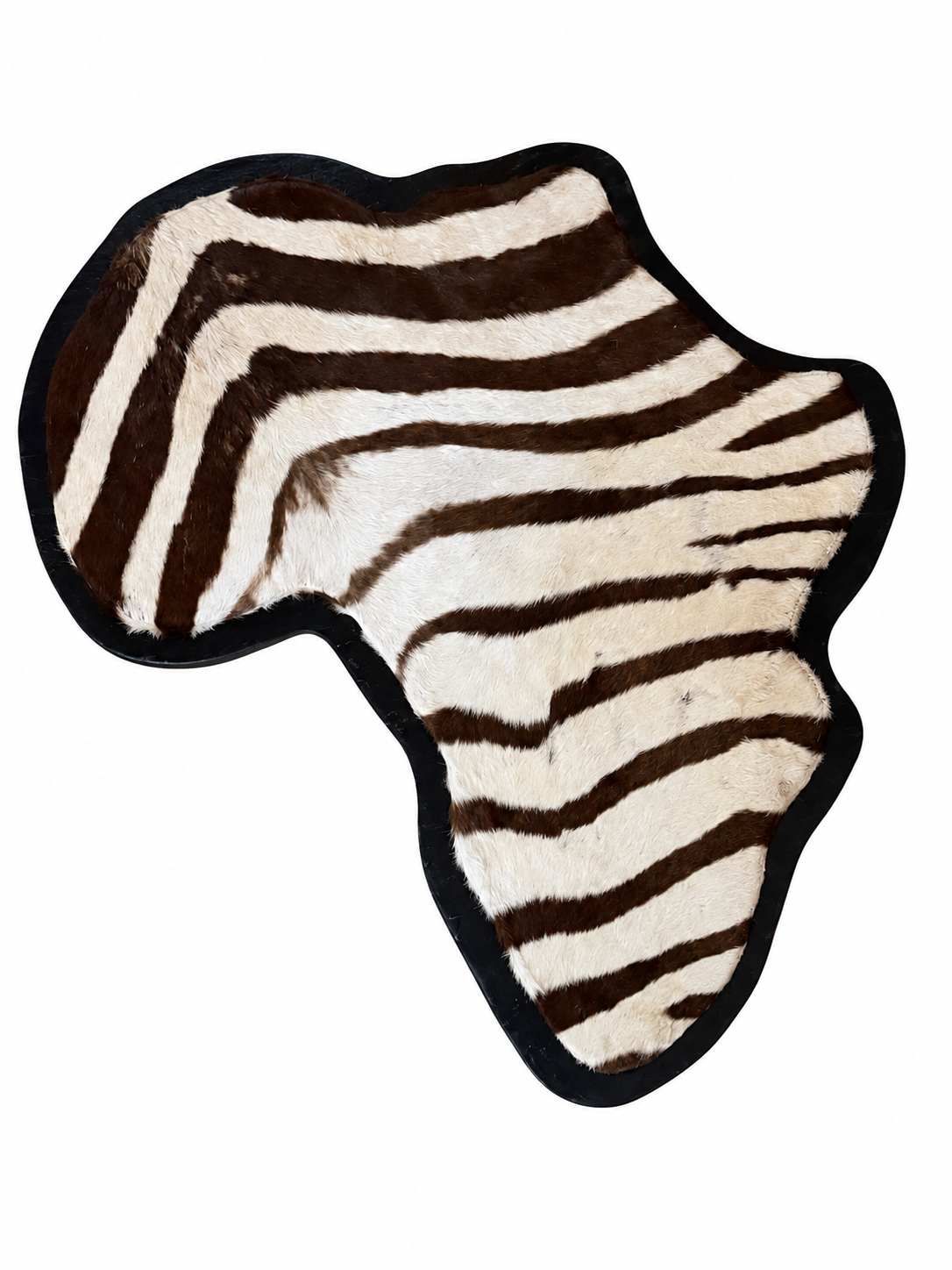 229 Zebra Frame Art.png