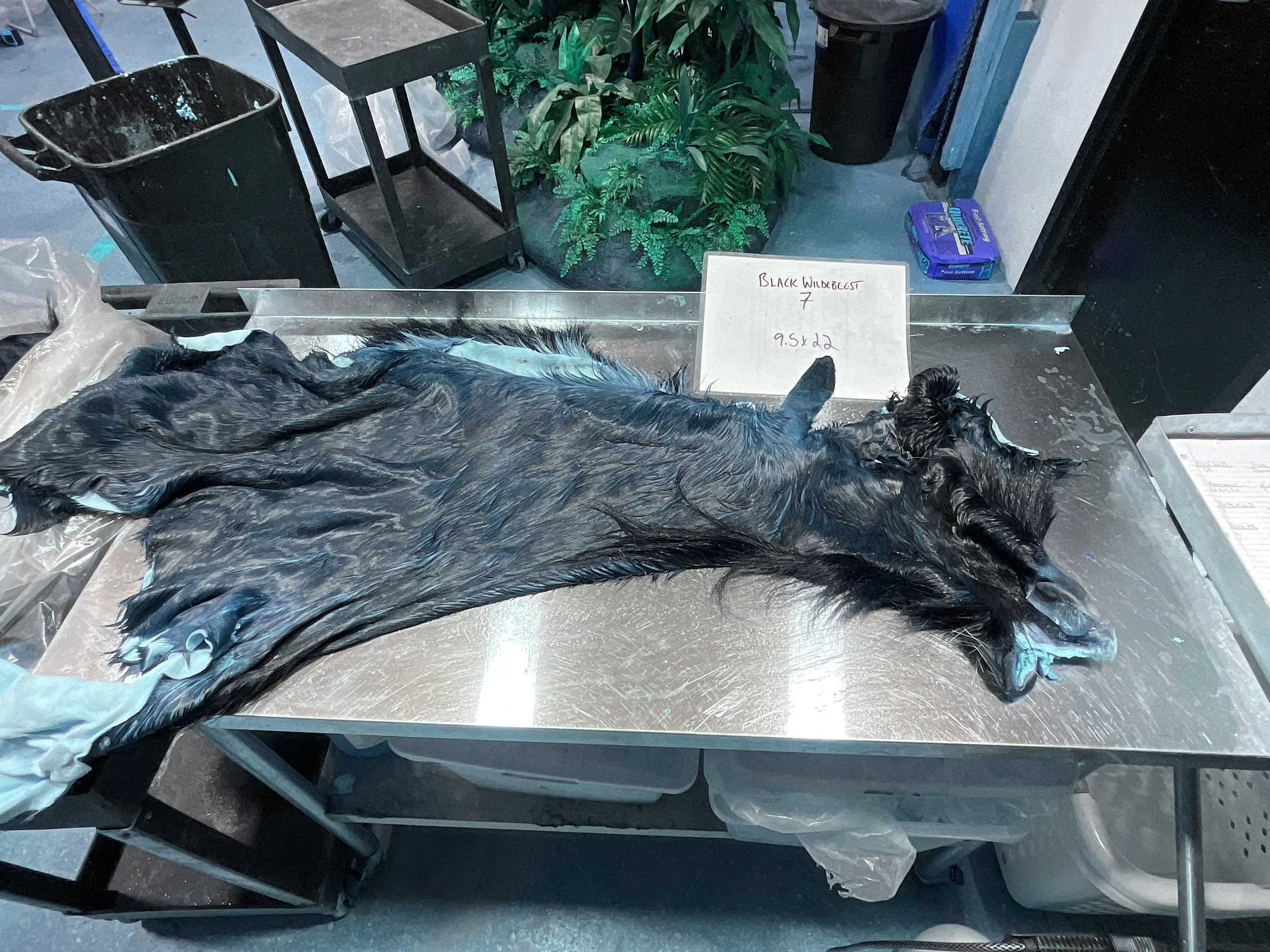 Blk WB 7.jpg
