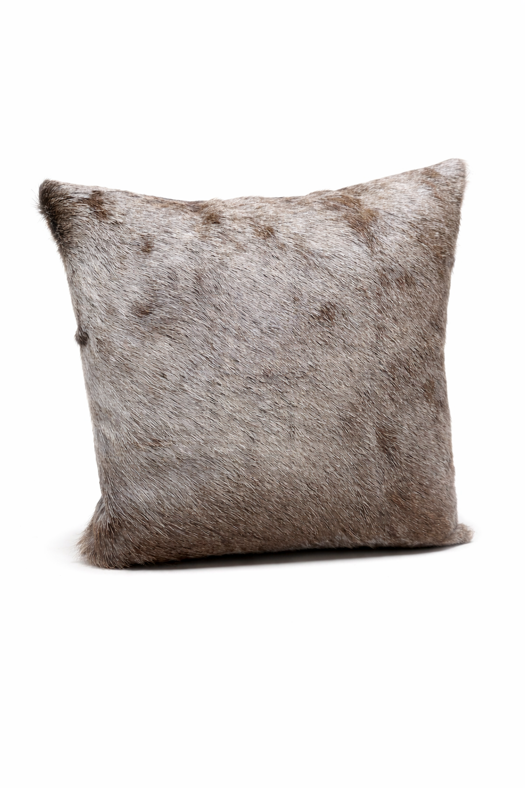 1 Blue WB Pillow.png