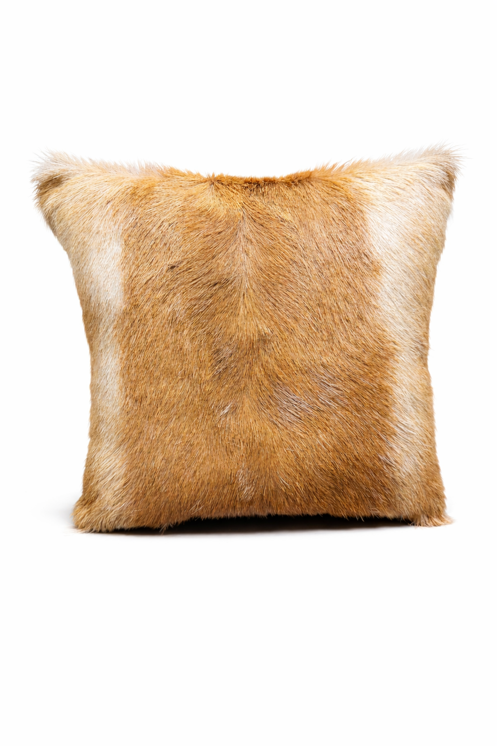 1 BB Pillow.png