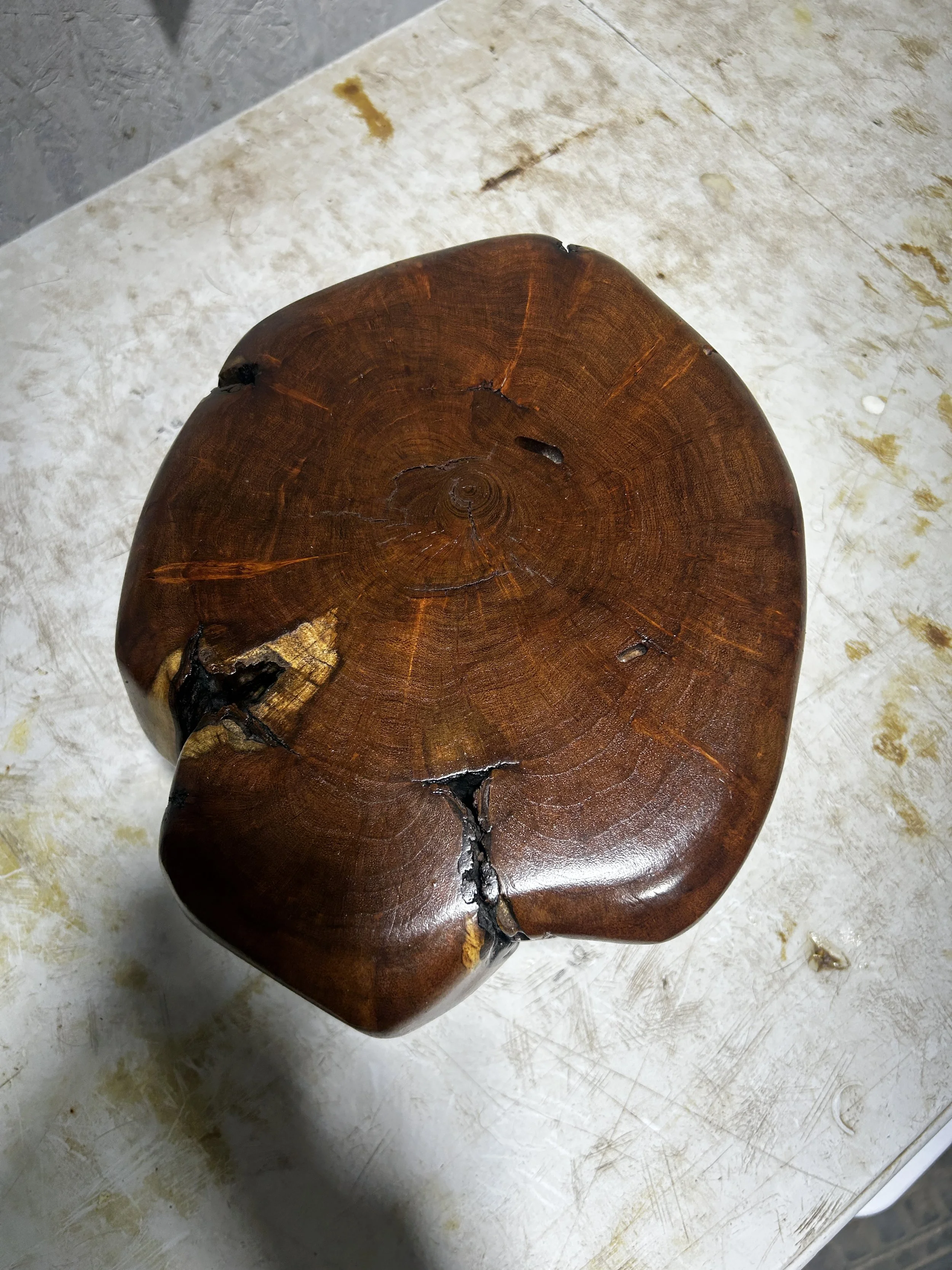 Mesquite Block #7.JPG