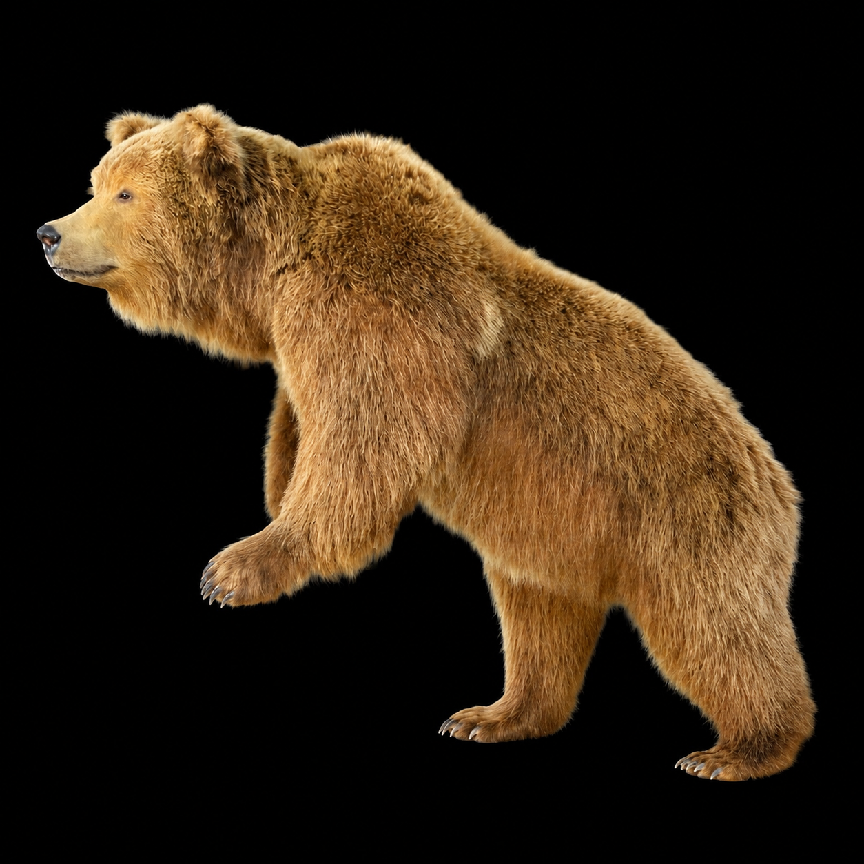 #1-LS Grizzly..png