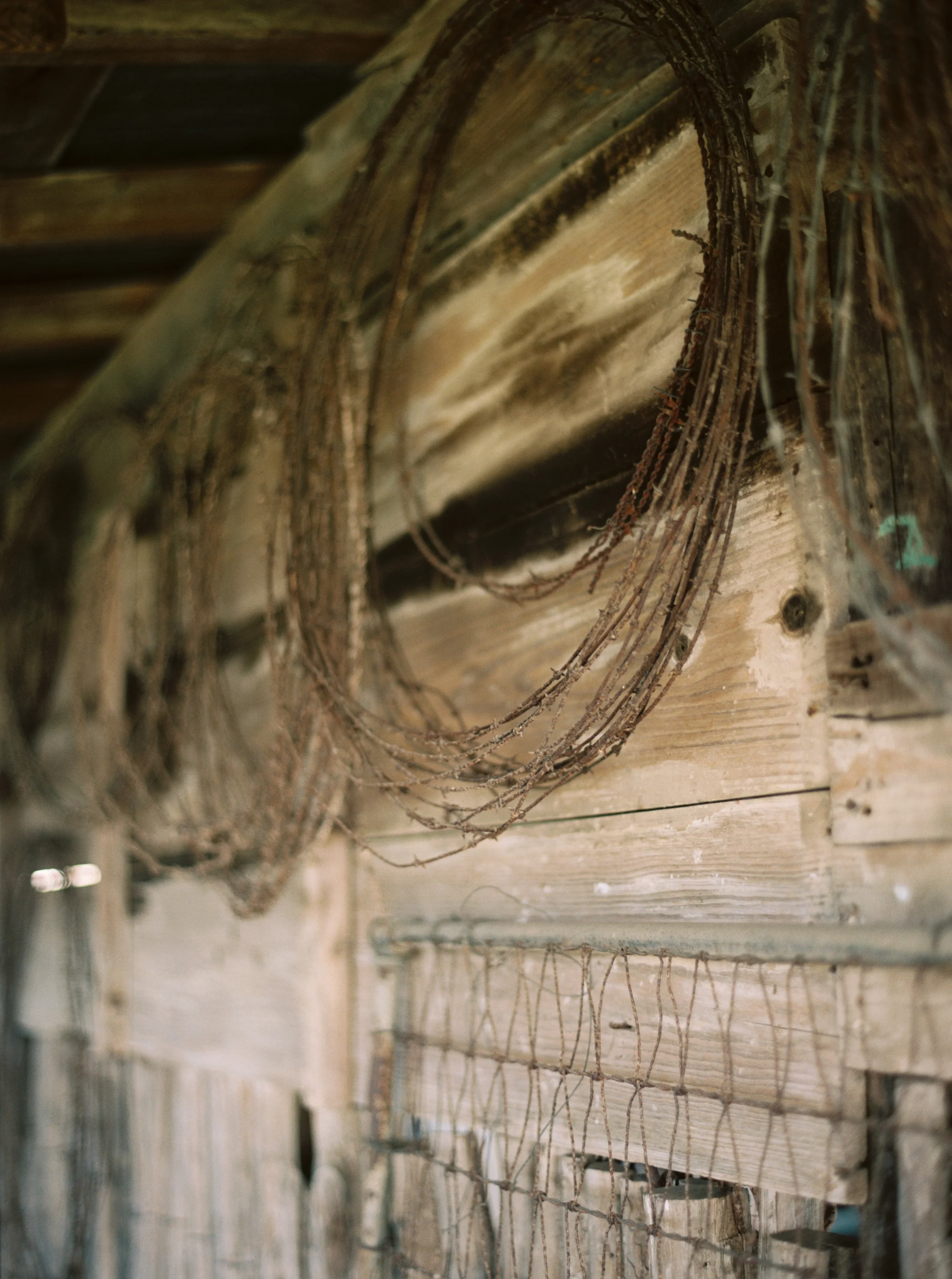 Ranch Photography, Western Photography, Photos of Horses, Texas Ranch, Western Landscape, Texas Hill Country, Hannah Mayson