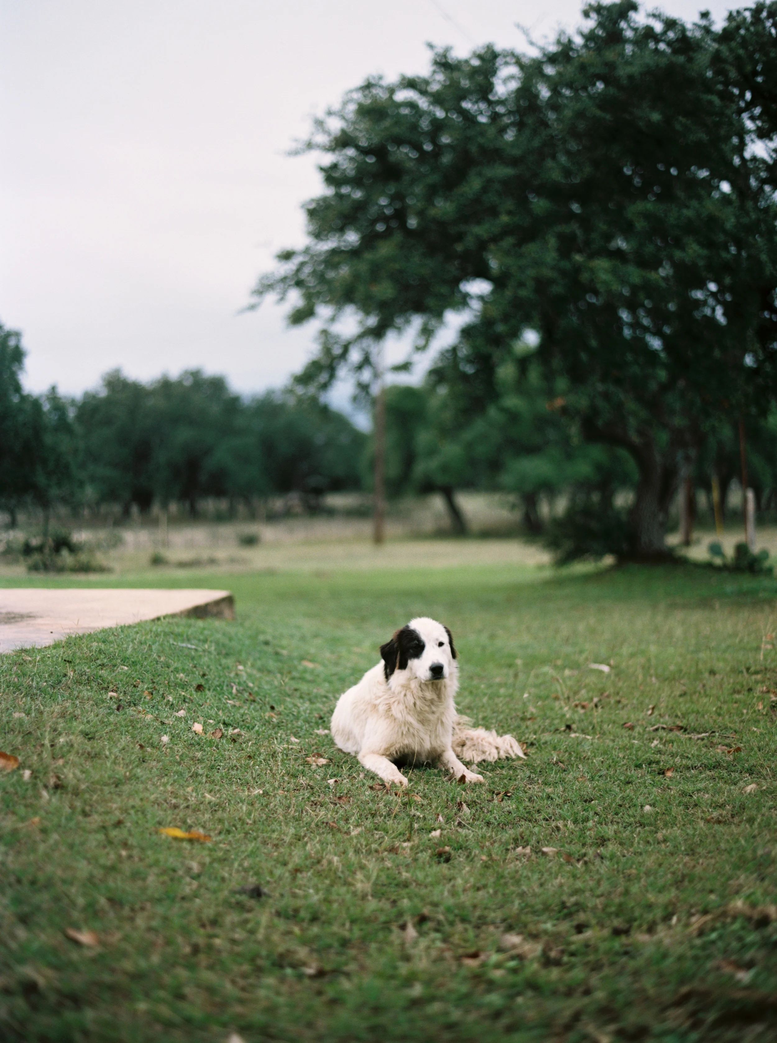 Ranch Photography, Western Photography, Photos of Horses, Texas Ranch, Western Landscape, Texas Hill Country, Hannah Mayson