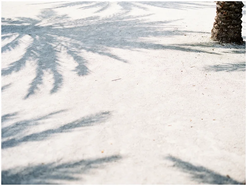 Seaside Florida Photographer_0002.jpg