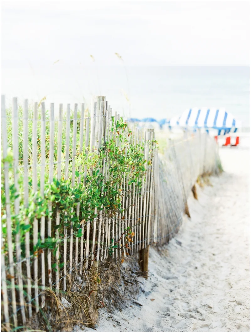 Seaside Florida Photographer_0010.jpg