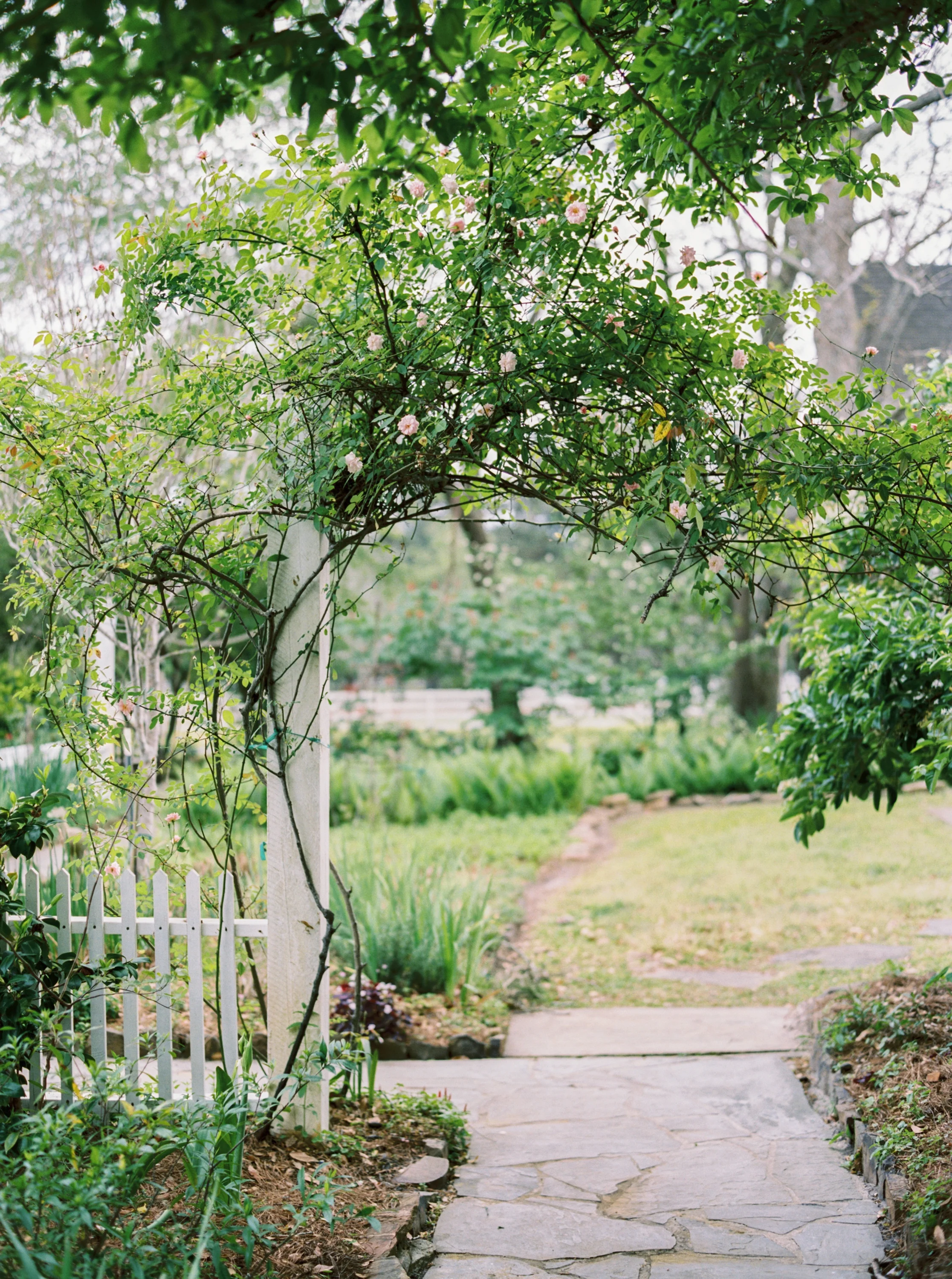 Hinds Wedding-4.jpg